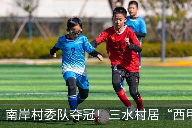 南岸村委队夺冠！三水村居“西甲”燃情落幕